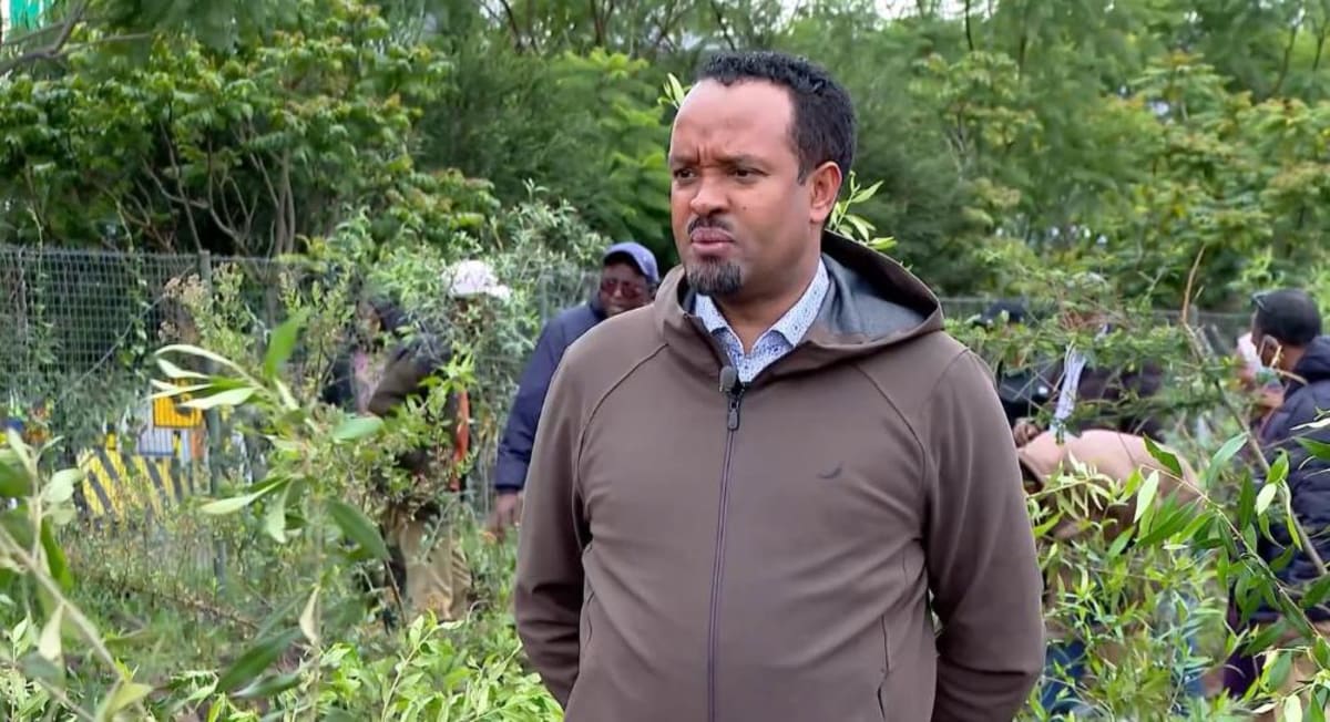 Ethiopia Plants 800 Million Trees in a Single Day - Image 2