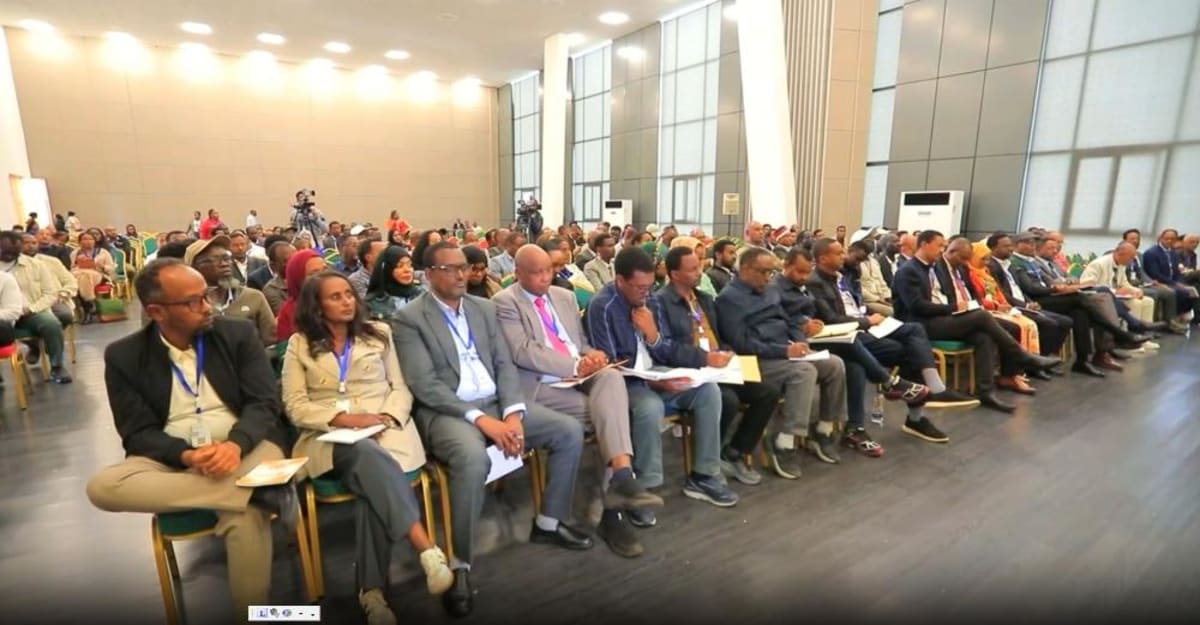 Ethiopia's 4,000-Person Dialogue Builds Peace Consensus - Image 2