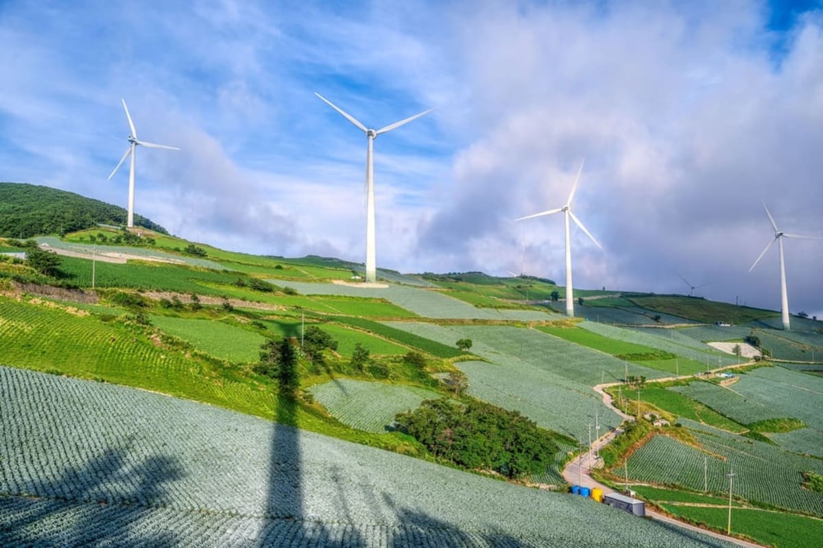 Modern solar panel array with wind turbines under blue sky in South Korea