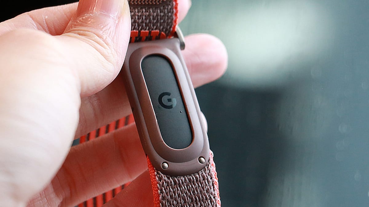 Google Releases Free Fitbit Air Blueprints for DIYers