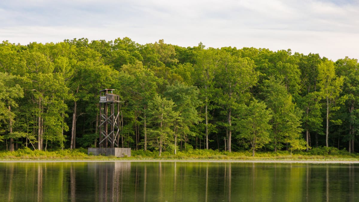 NASA Gives Maryland Wildlife Refuge 103 Acres of Woodland - Image 2