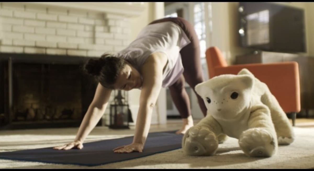 iRobot Founder Unveils AI Companion Robot That Hugs Back - Image 3