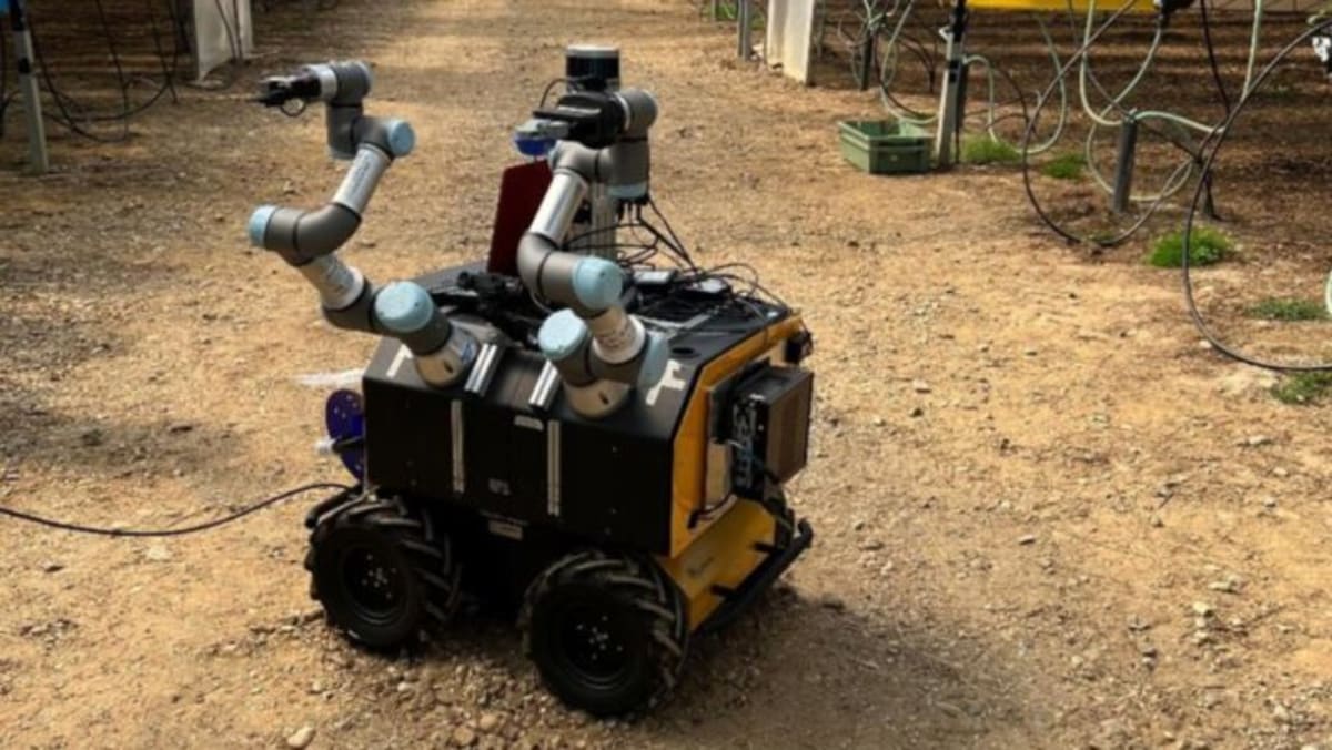 UK Farm Robots Secure €1.17M to Ease Labour Shortages - Image 2