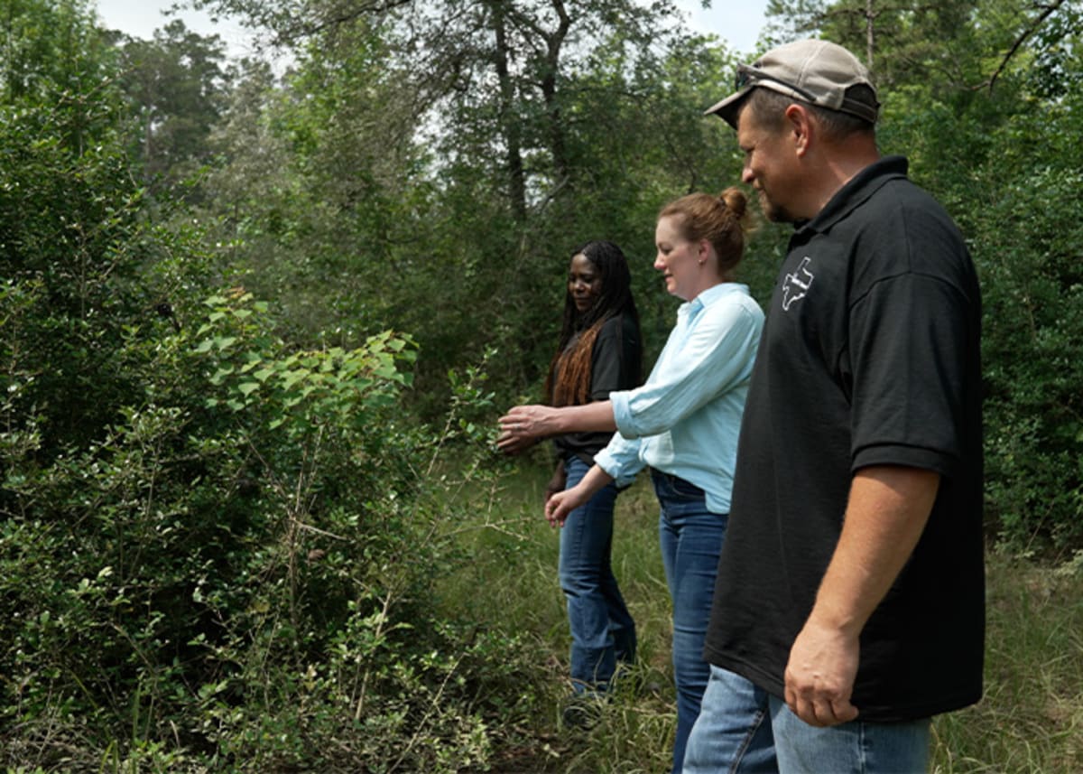 Texas Woman Brings Back Native Pine and Wild Turkeys