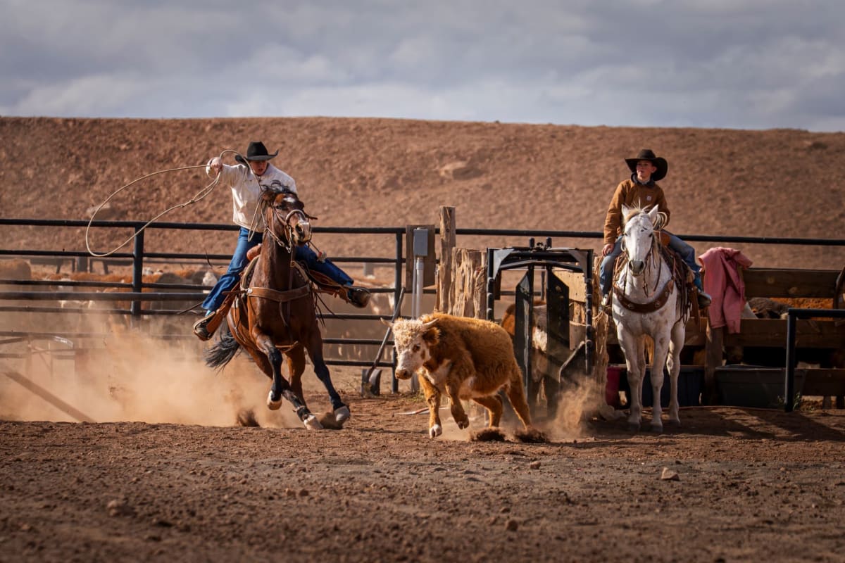 140-Year Ranch Powers Flagstaff with Clean Energy
