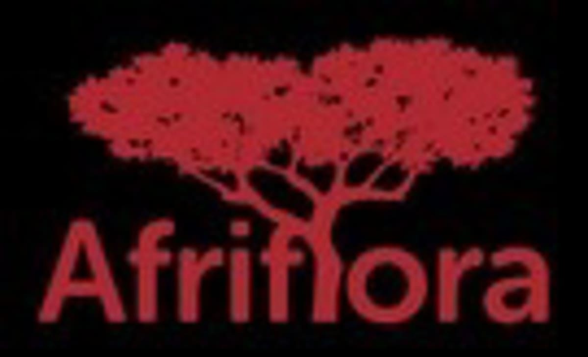 Ethiopia: Flower Grower Teams Up to Save Critical Lake - Image 2