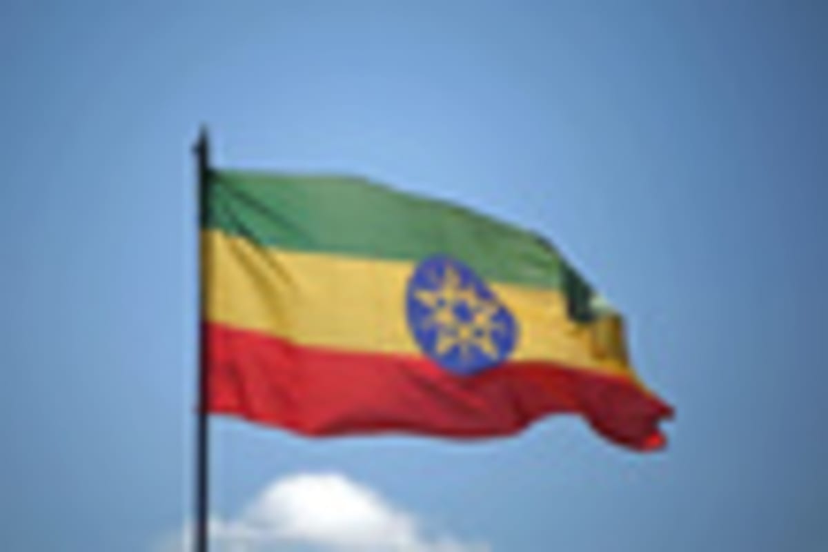 Ethiopia: Flower Grower Teams Up to Save Critical Lake - Image 5