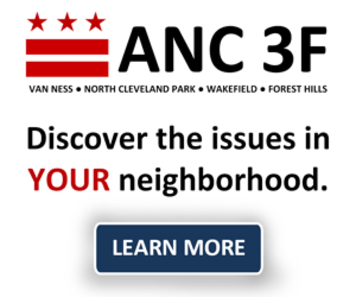 DC Neighborhood Unites in Wave of Volunteer Opportunities - Image 3