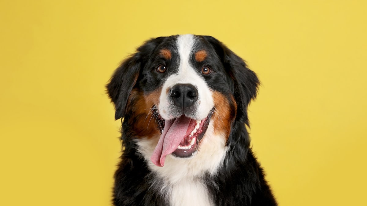 Waco Vending Machine Raises $5,655 for Seniors in Need - Image 4