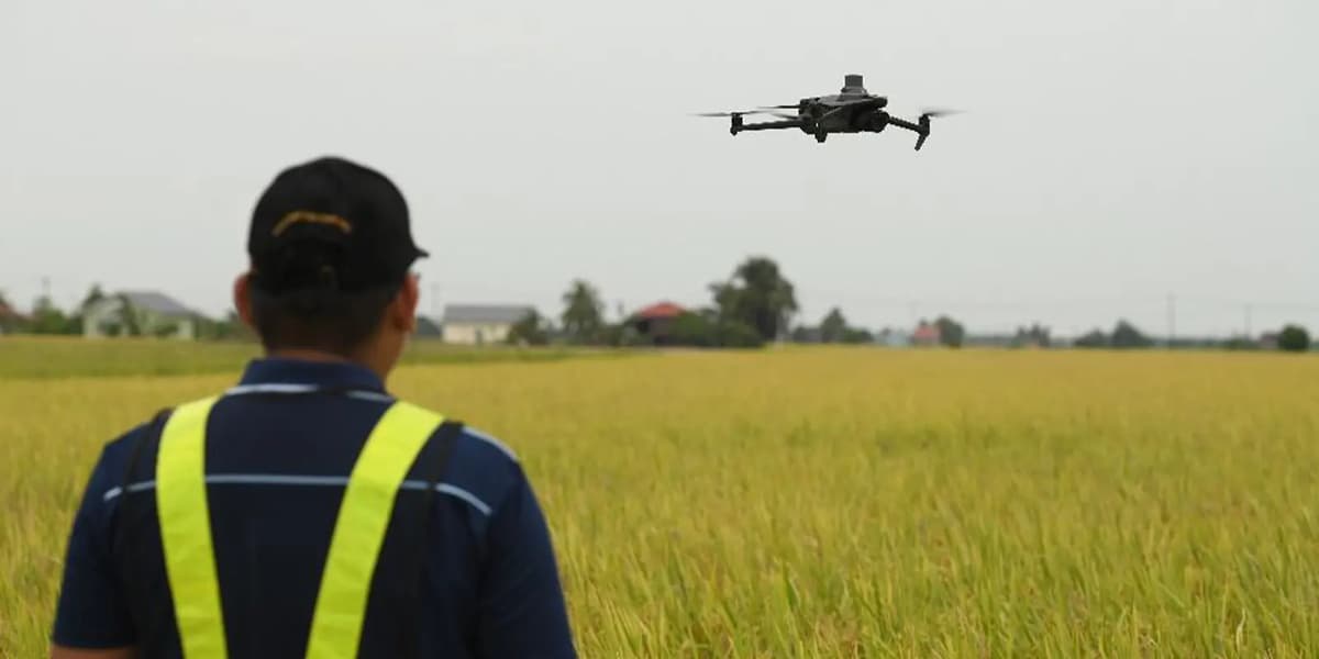 Malaysia Uses Drones and AI to Transform Rice Farming - Image 2