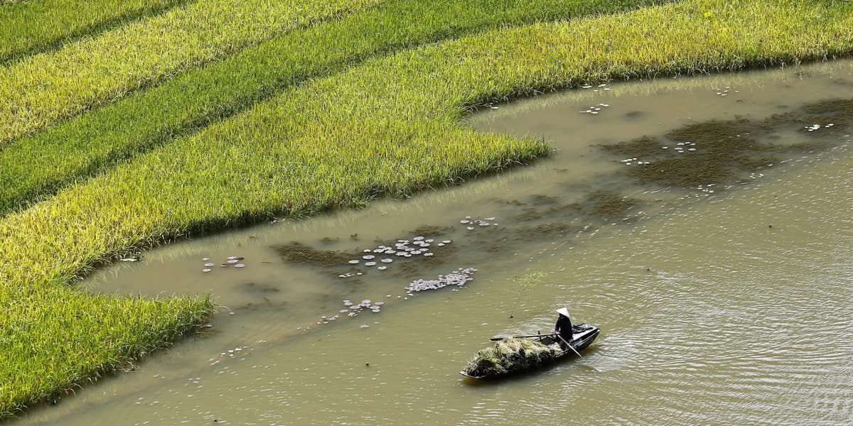 Vietnam's Agriculture Exports Jump 9%, Hit $30.7 Billion - Image 2