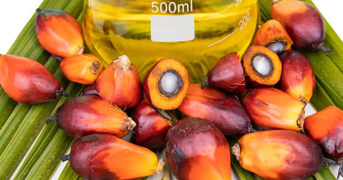 Malaysia Ups Biofuel Blend After 45-Year Push by Scientist