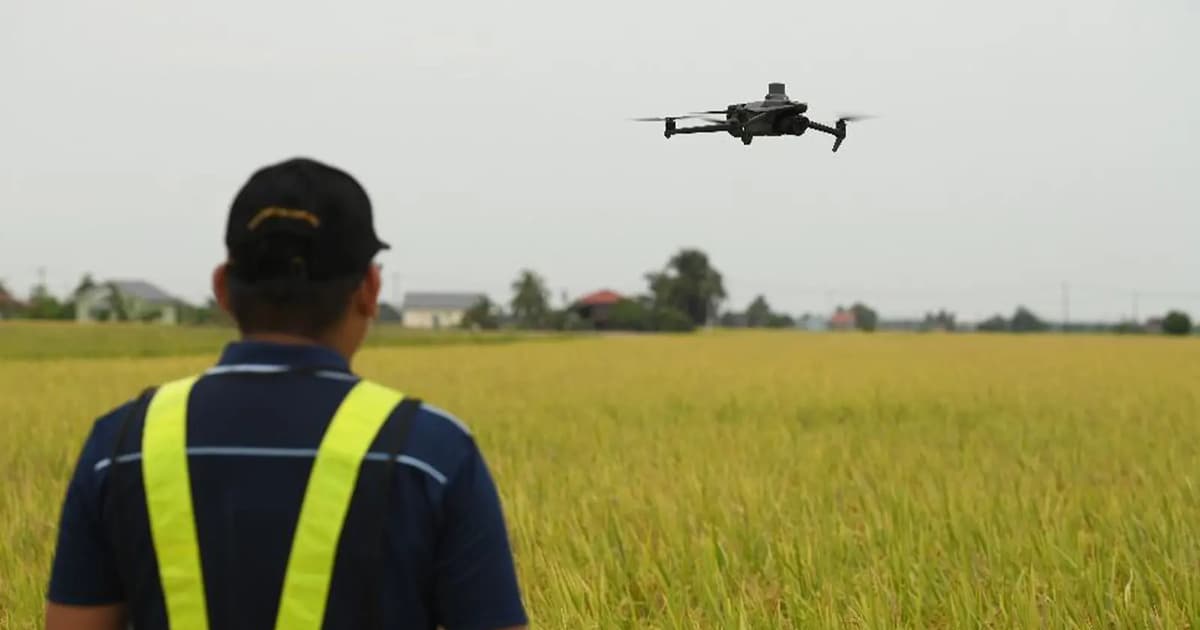 Malaysia Uses Drones and AI to Transform Rice Farming