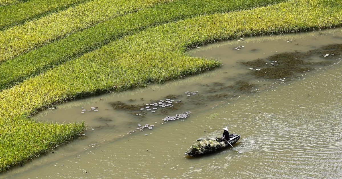 Vietnam's Agriculture Exports Jump 9%, Hit $30.7 Billion