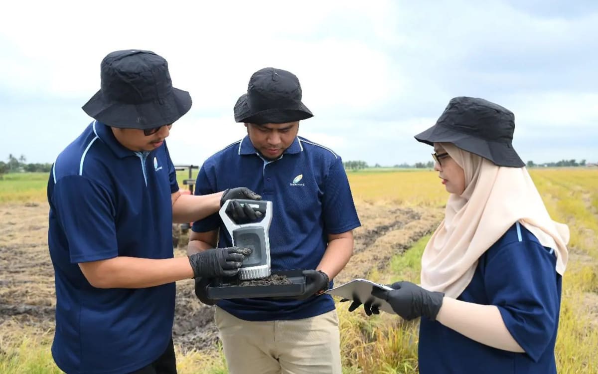 Malaysia Uses Drones and AI to Transform Rice Farming - Image 4
