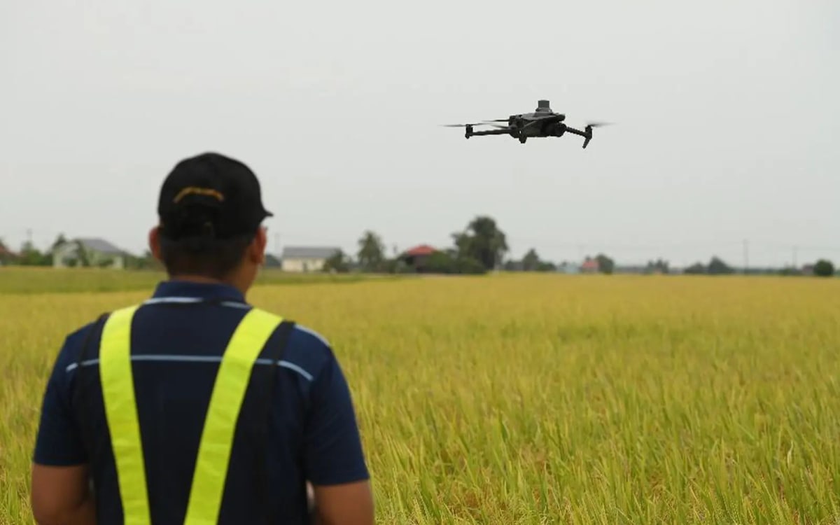 Malaysia Uses Drones and AI to Transform Rice Farming - Image 3