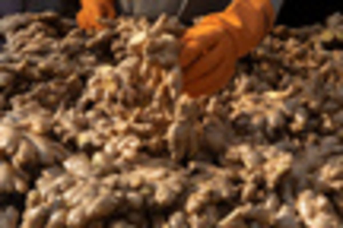 Malaysia Invests $545M in Pineapple Tech Revolution - Image 2