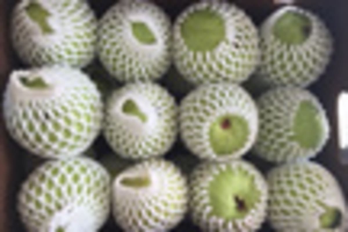 Malaysia Invests $545M in Pineapple Tech Revolution - Image 4