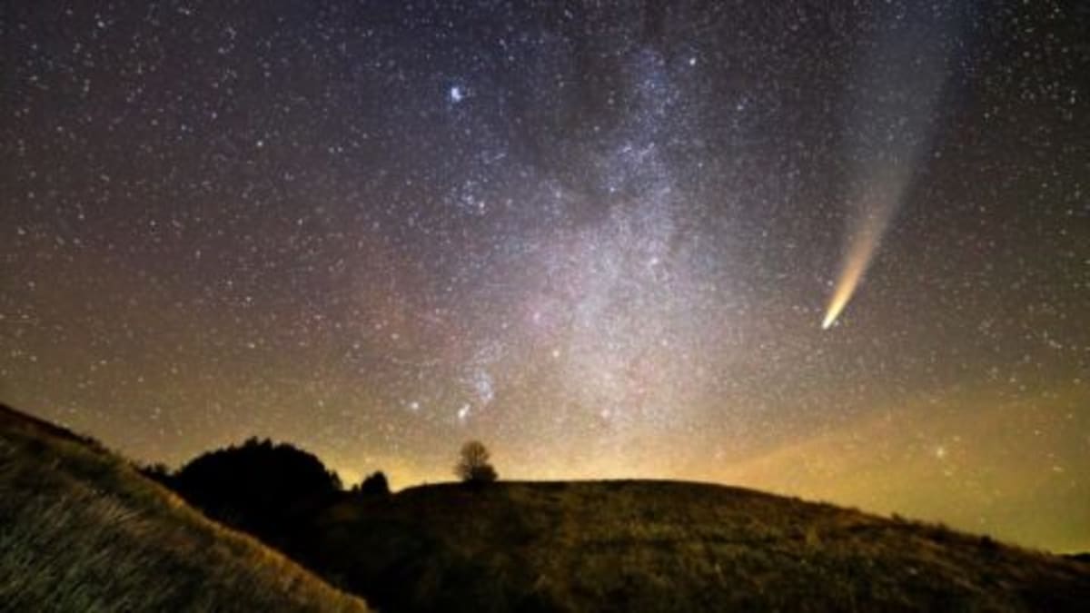 600-Year-Old Viking Ship Emerges Intact from Danish Sand - Image 4