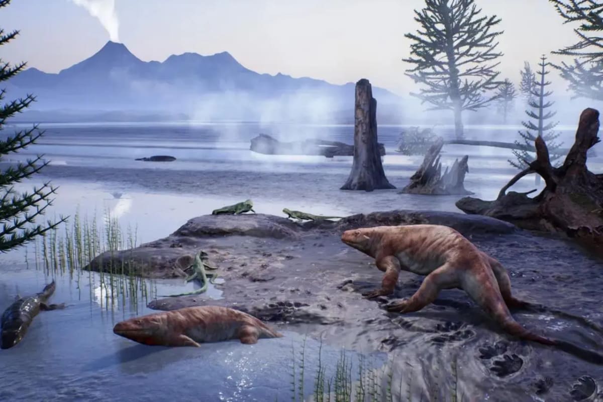 Ancient fossilized reptile footprints preserved in rock from Italian Alps mountainside