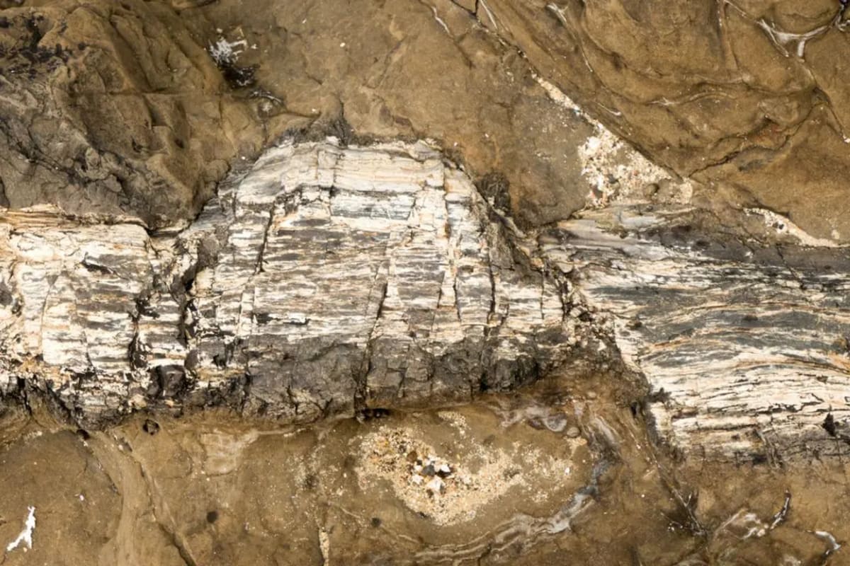 ** Scientists examining ancient fossil layers in volcanic ash inside remote cave system
