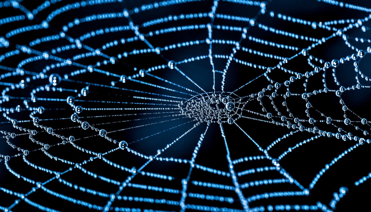Most Detailed Map Ever Shows Universe's Hidden Web