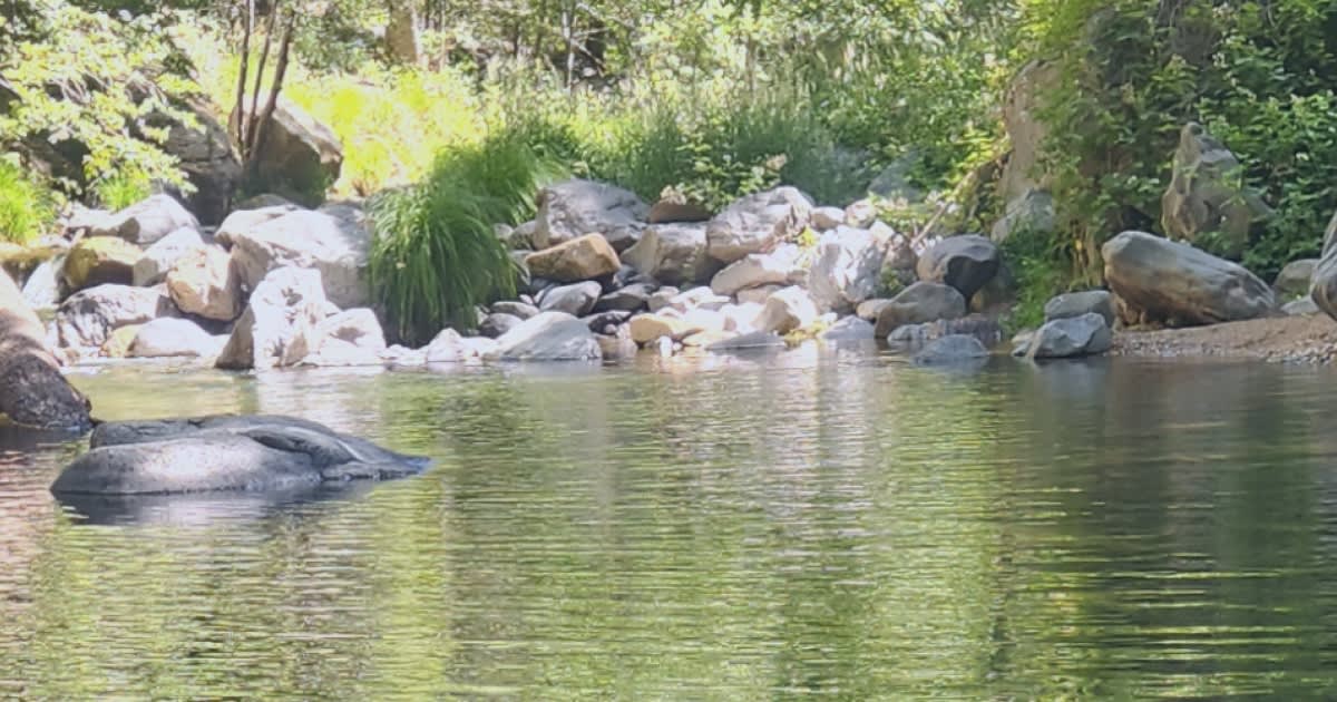 Apache Trout Becomes First Gamefish Saved From Extinction