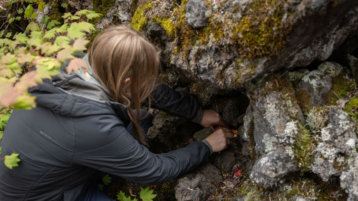 Volunteers Rescue 2 Hikers as Oregon Wildfire Rages - Image 2