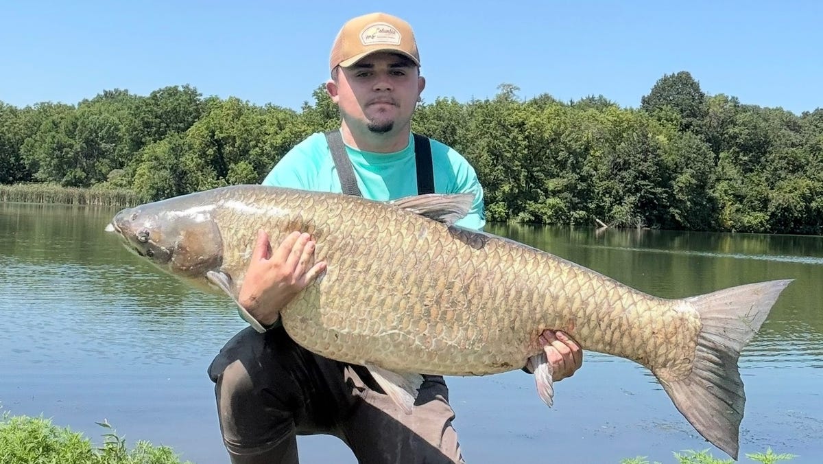 Fisherman Jakob Mackey-Frazier holding massive 71-pound world record grass carp at Bacon Creek Park