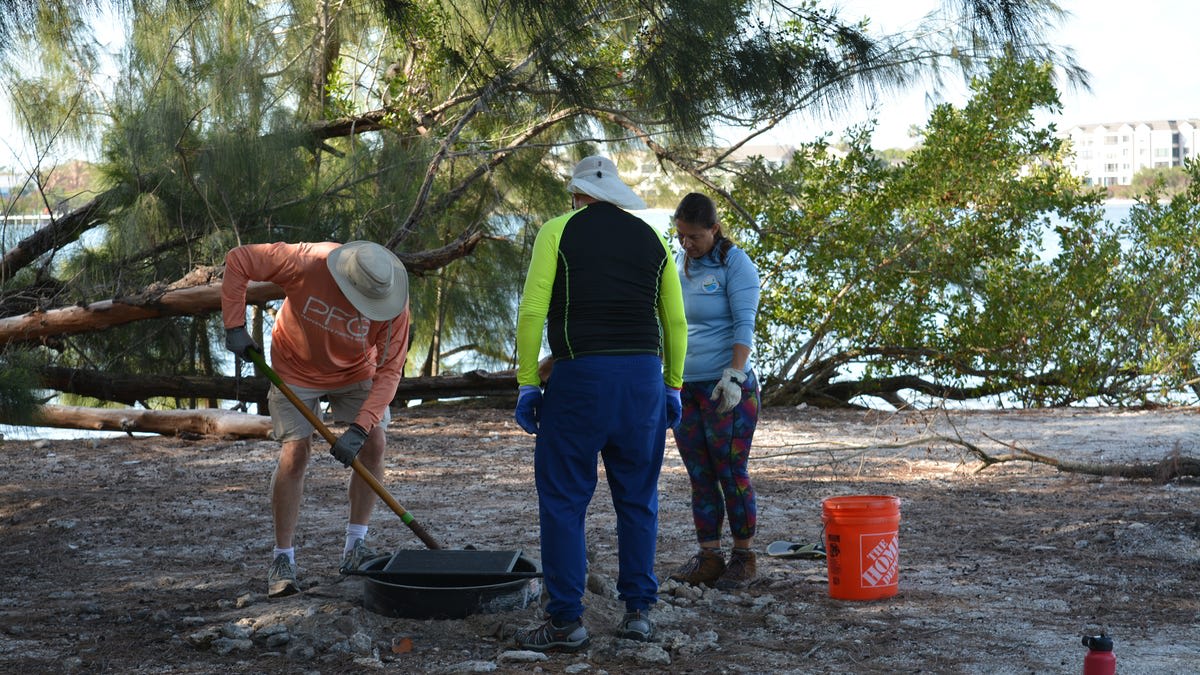 20 Volunteers Restore Florida Lagoon Islands in One Day