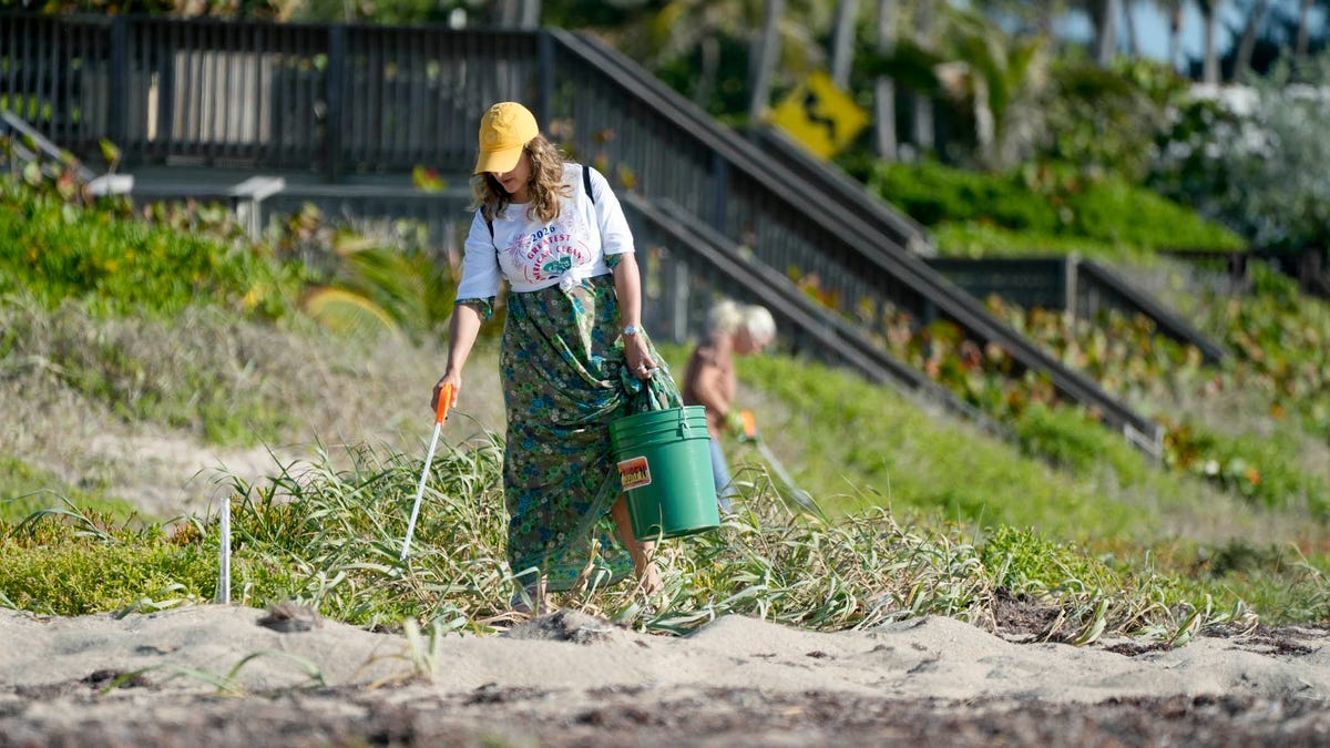 Volunteers wearing gloves use grabber tools to collect plastic debris from sandy Palm Beach coastline