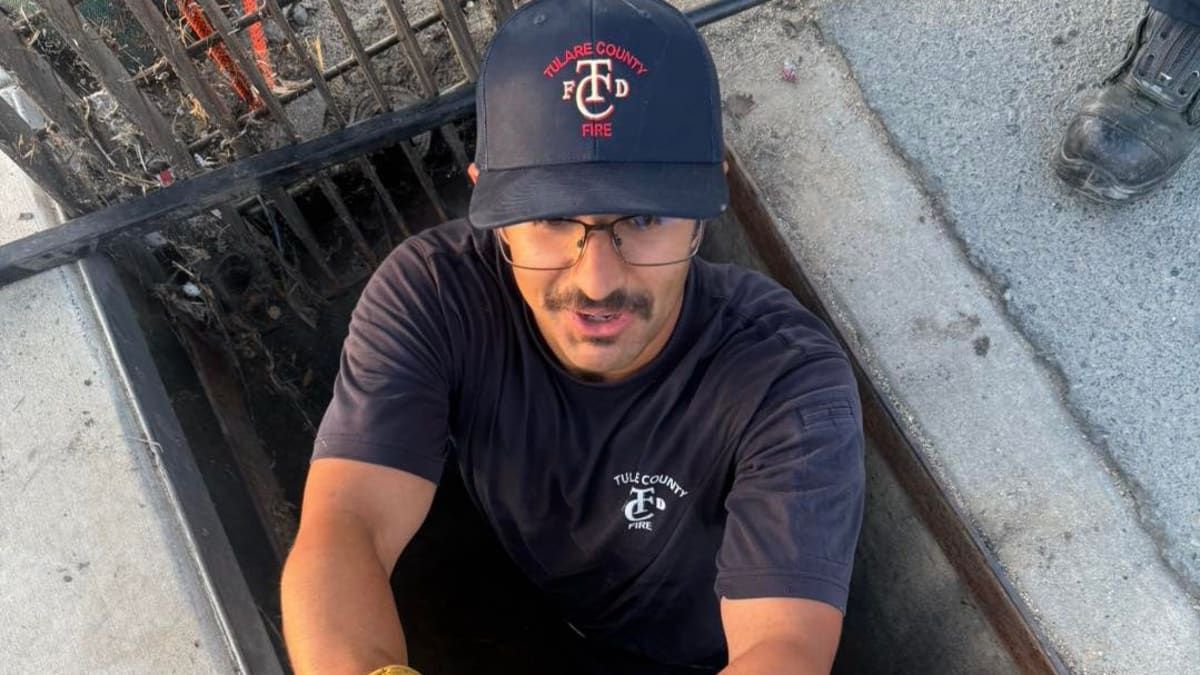 Firefighters in uniform carefully lifting small ducklings from open storm drain grate