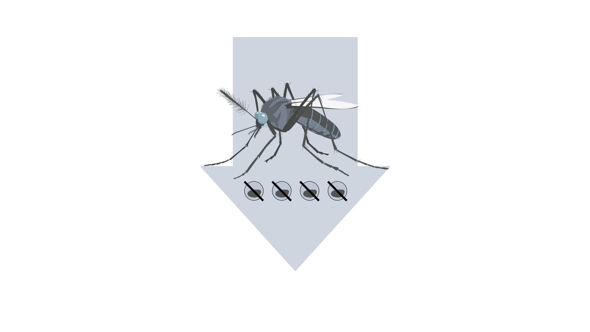 Google to Release 64M Mosquitoes to Fight Disease