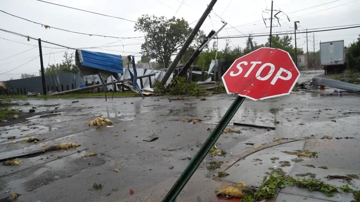 Detroit Volunteers Rally to Restore Belle Isle After Storm - Image 2