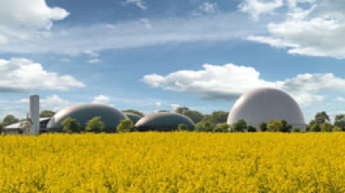 Idaho Dairy Farm Turns Cow Manure Into Clean Fuel - Image 5
