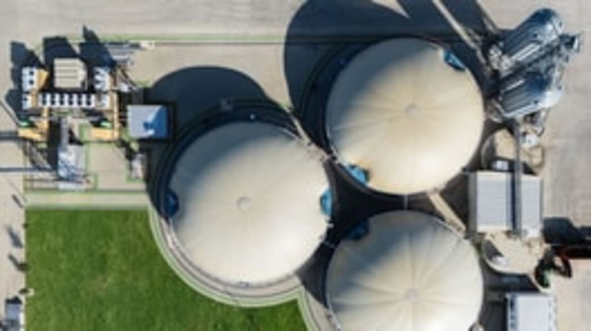 Idaho Dairy Farm Turns Cow Manure Into Clean Fuel - Image 4
