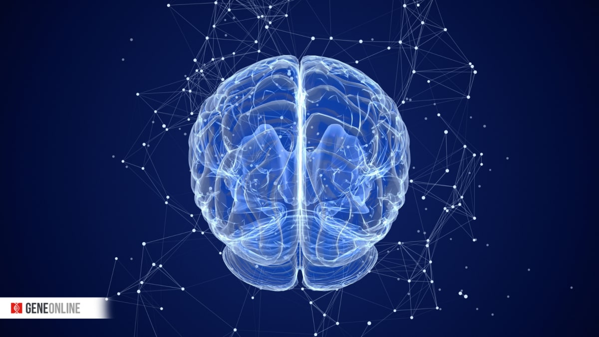 Medical researcher examining brain scan imaging related to rare neurological disease treatment breakthrough