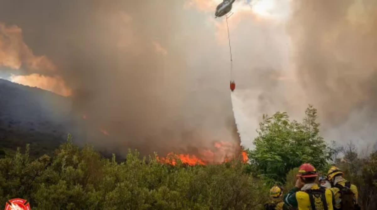 Five Wildlife Wins Show Conservation Really Works - Image 5