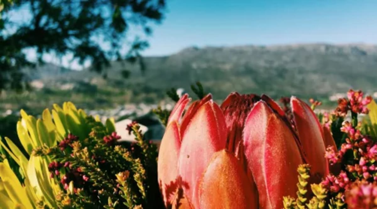 Five Wildlife Wins Show Conservation Really Works - Image 3