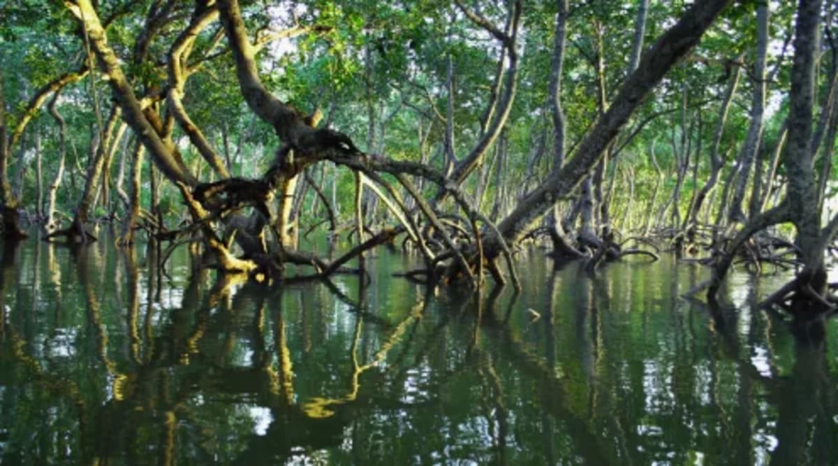 10 Wildlife Wins Show Conservation Really Works - Image 3