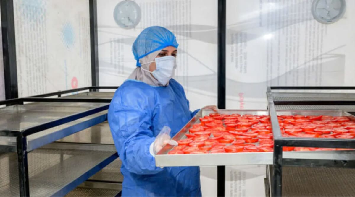 Egyptian Women Turn Food Waste Into 38% Water Savings - Image 2