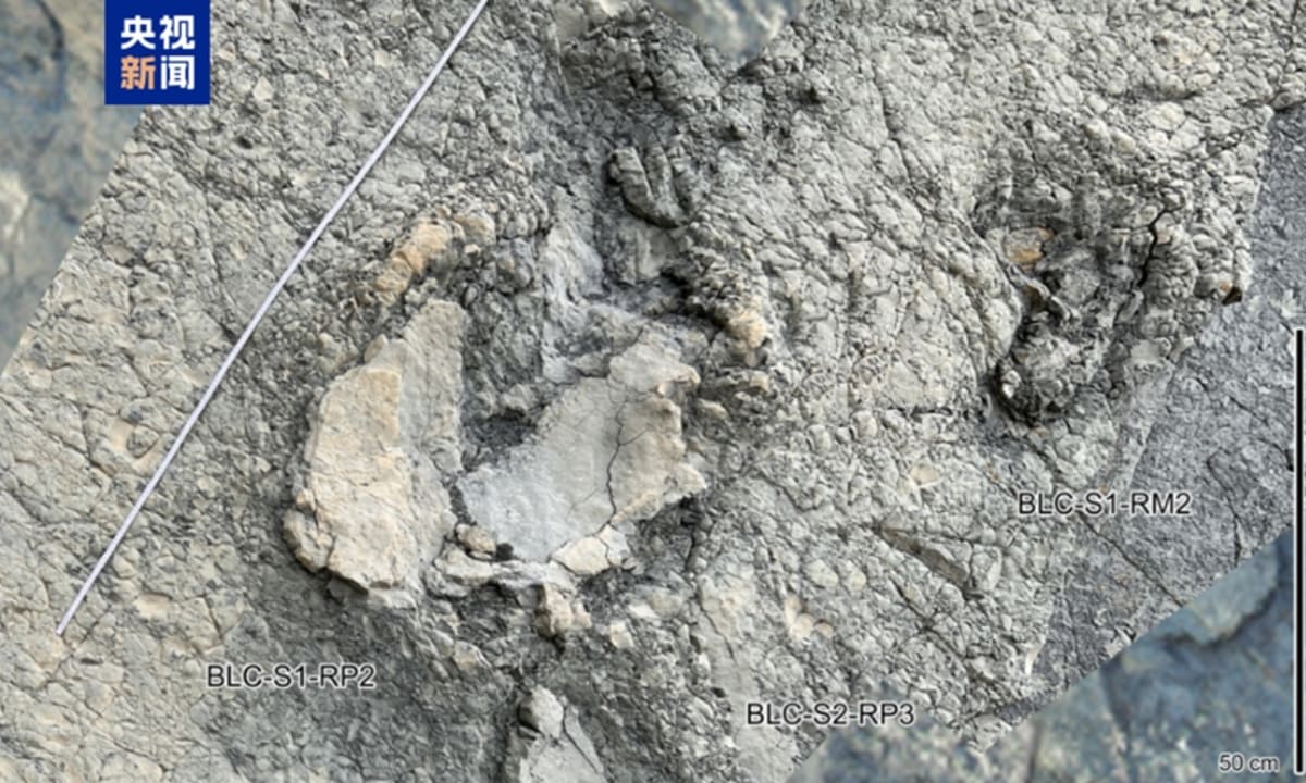 Ancient sauropod dinosaur footprints preserved in rock face on steep mountainside in China
