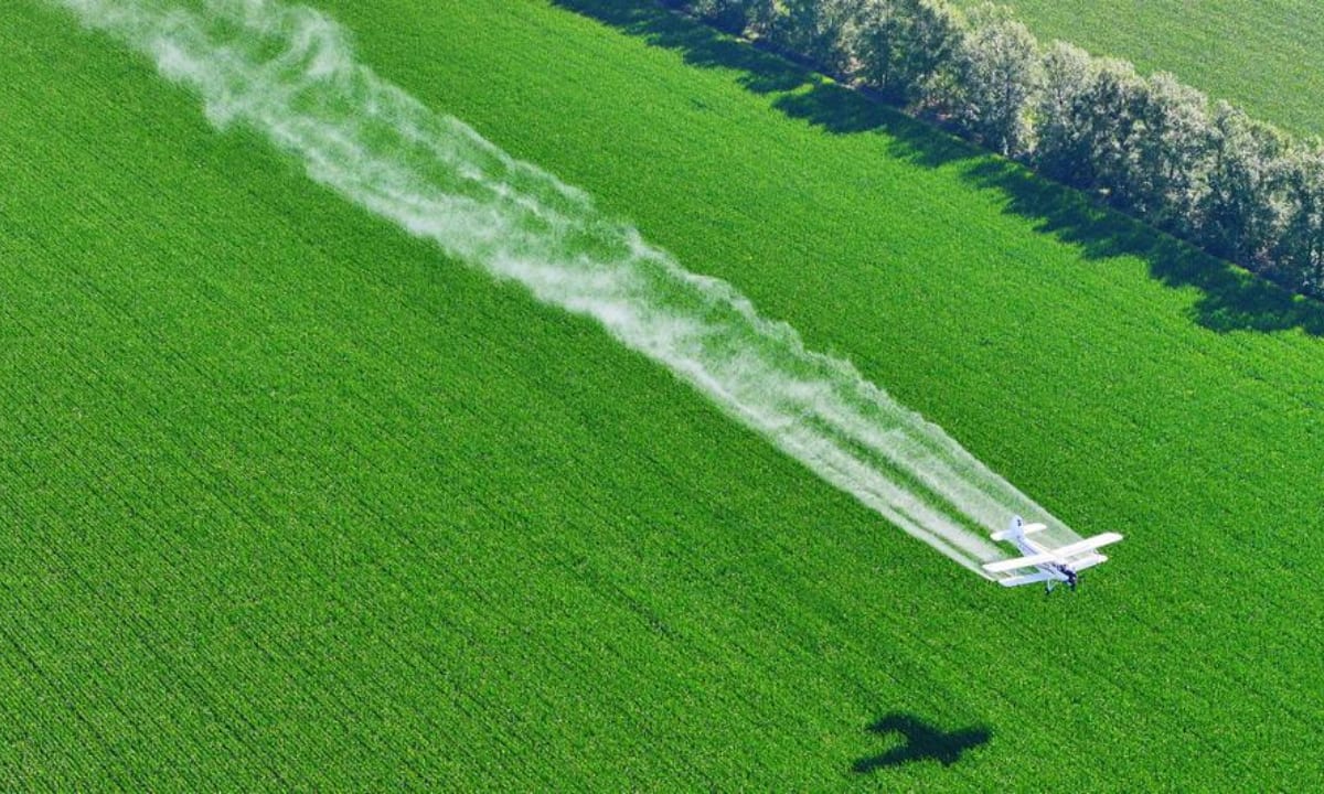 Aerial view of autonomous agricultural plane spraying crops over vast corn field in Heilongjiang Province