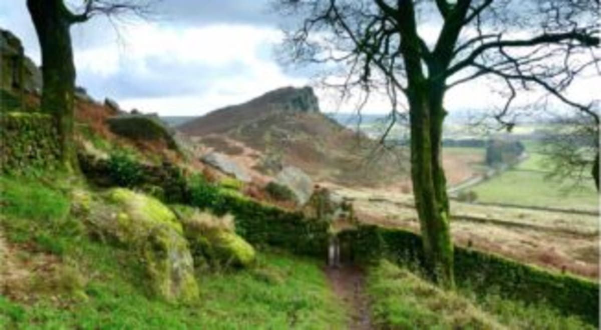 Ford Mustang Turns 62: From Ferrari Dream to Icon - Image 5