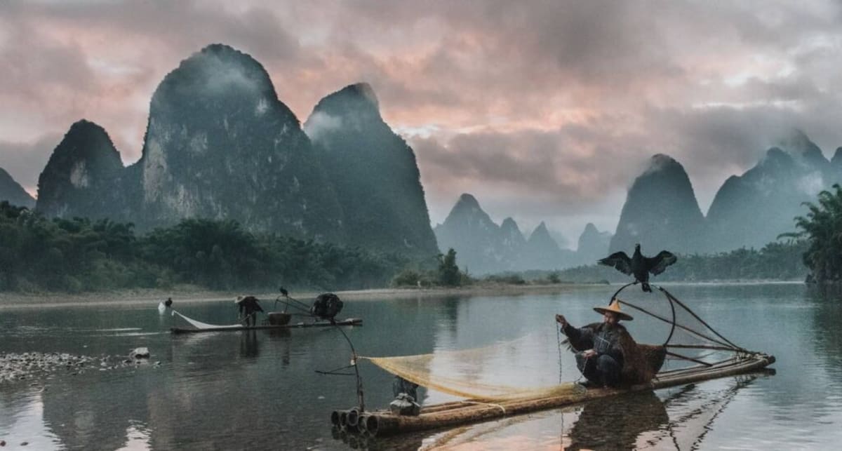 Cambodia Caves Yield Stunning New Viper and 10 Other Species - Image 3