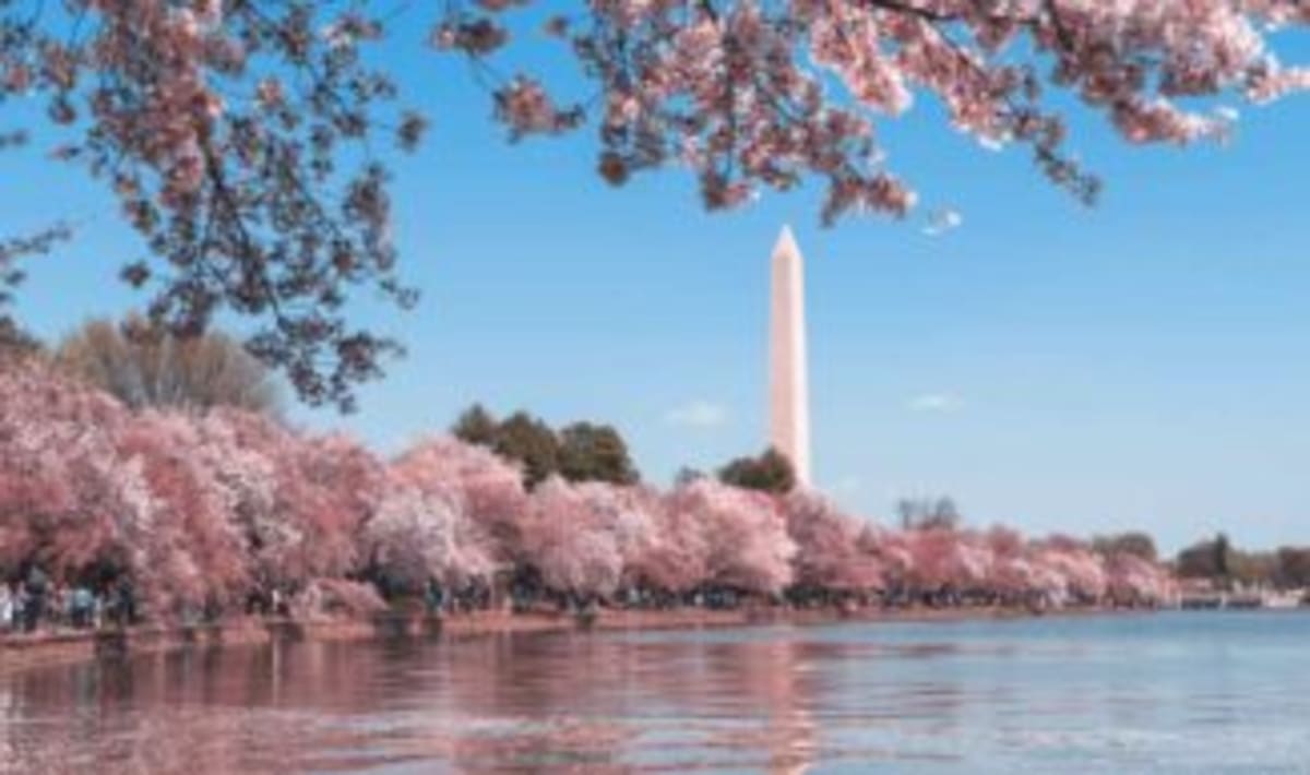 Emerson's "Nature" Essay Sparked a Movement 190 Years Ago - Image 4