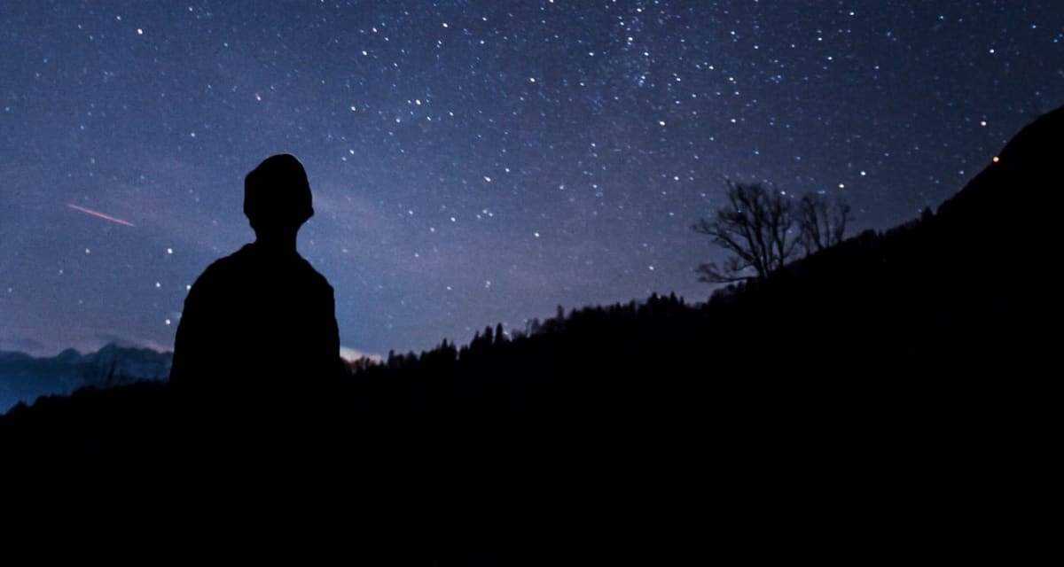 Lyrid Meteor Shower Peaks April 22 in Moonless Sky