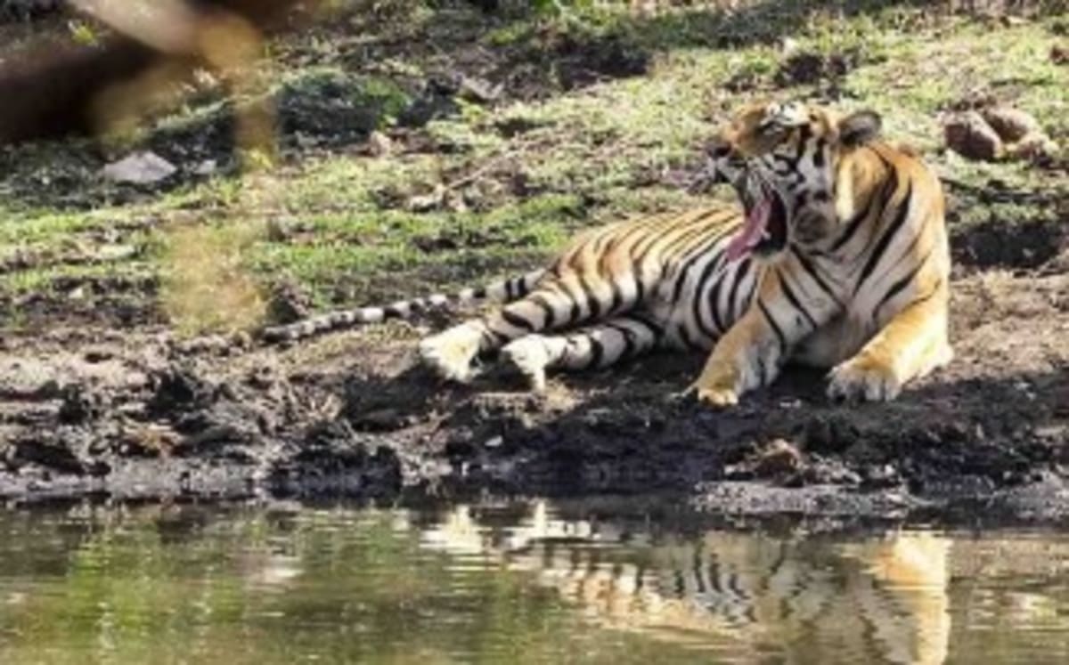 Apple Computer Founded 50 Years Ago Today - Image 2