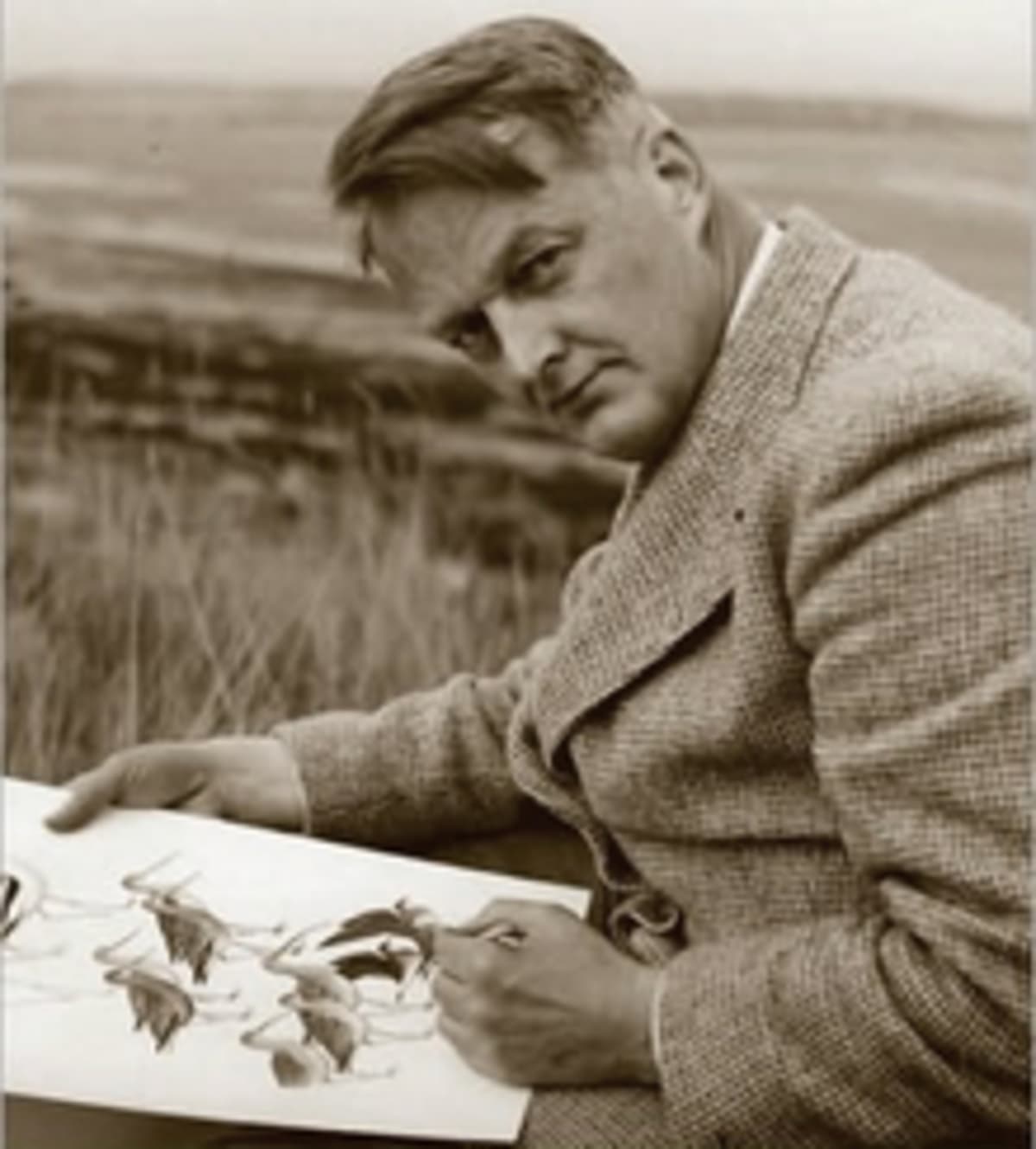 ** Roger Tory Peterson examining birds through binoculars in natural outdoor setting