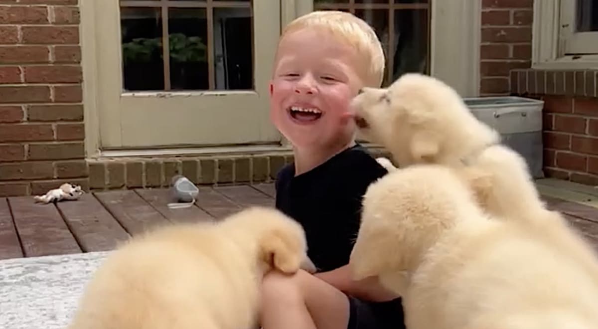Young child laughing joyfully during playtime with parent showing brain development benefits